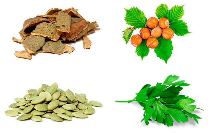 Lidové léky na boj s prostatitidou - kůra osiky, dýňová semínka, petržel a lískové ořechy